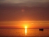 Offline