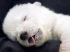 Offline
