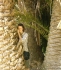Offline