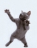 Offline